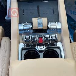 بي واي دي ليوبارد 8